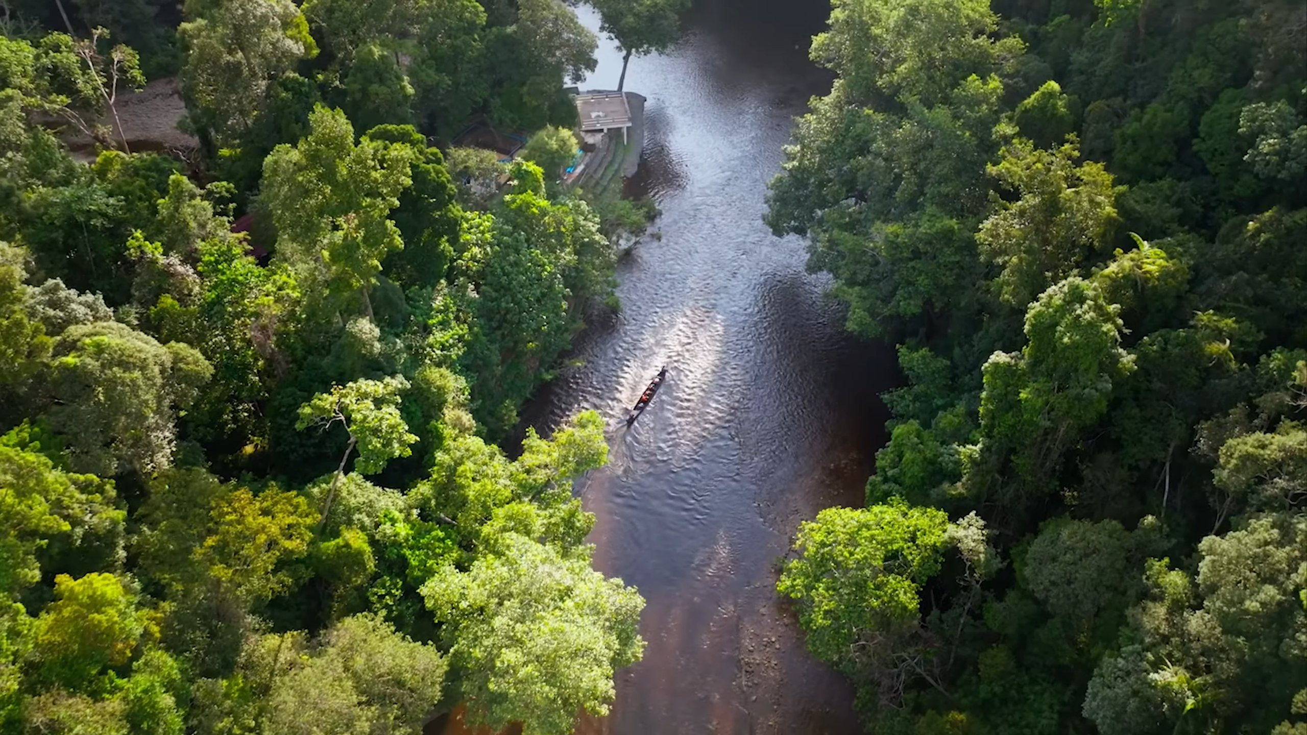 National Park Hutan Sungai Dari Atas